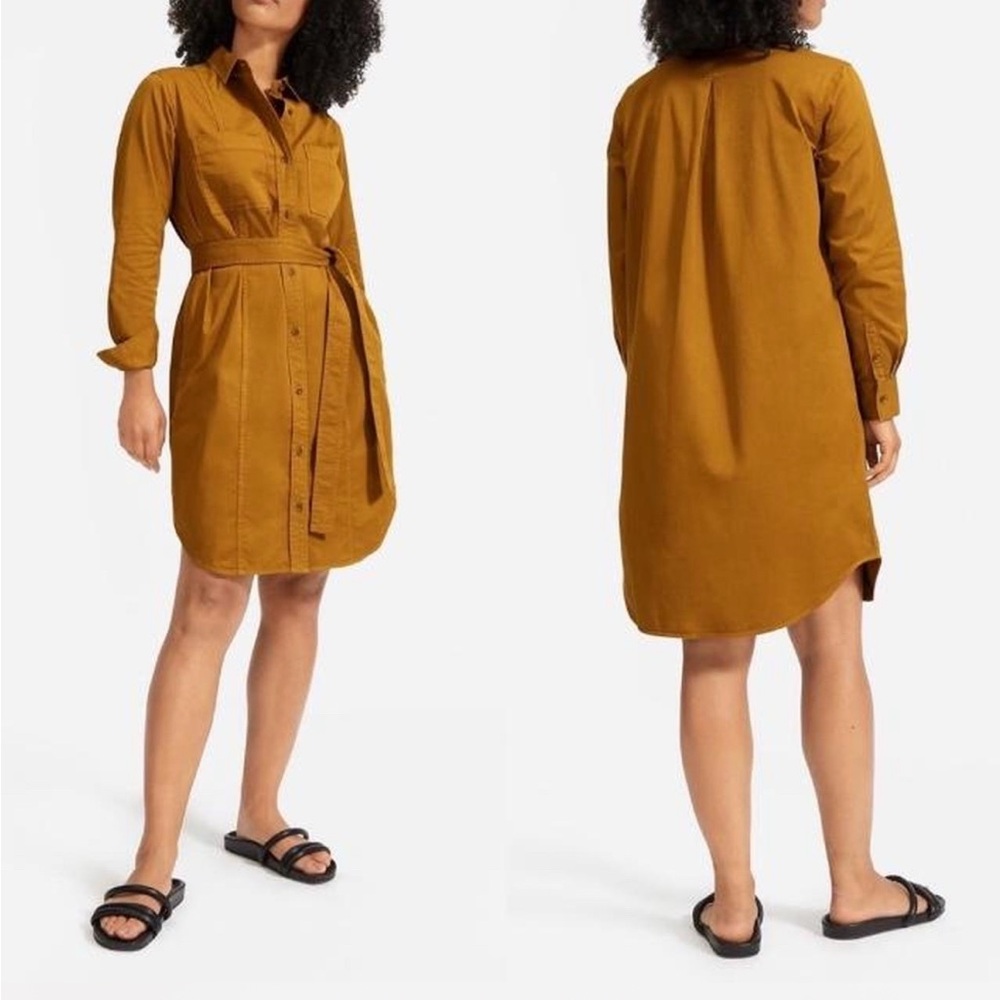 Everlane Dress Belted Utility Shirtdress Mustard Orange Size 10 New!